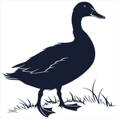 silhouette duck image on white background 