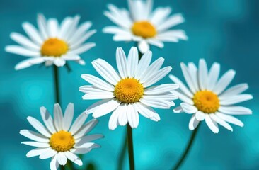 Obraz premium Daisy flowers in blue transparent water. Summer floral composition with sun and shadows. Nature concept