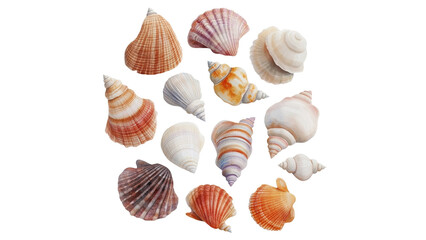 Fototapeta premium Colorful seashells arranged in beautiful display, showcasing nature art. Watercolor clip art, isolated on white/transparent background.