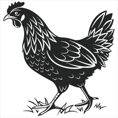  silhouette Chicken image on white background