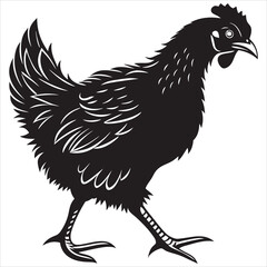  silhouette Chicken image on white background