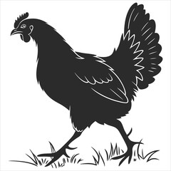  silhouette Chicken image on white background