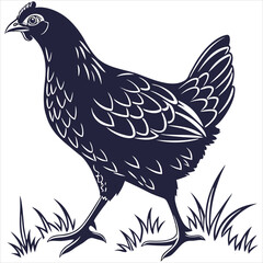 silhouette Chicken image on white background