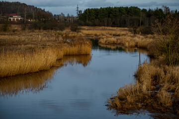 river Abava near Kandava village, Latvia
