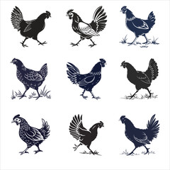  silhouette Chicken image on white background