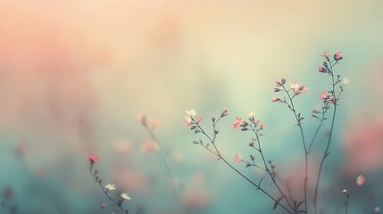 Delicate Pink and White Wildflowers Blooming Softly