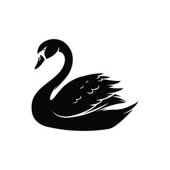 black swan silhouette vector graphic style