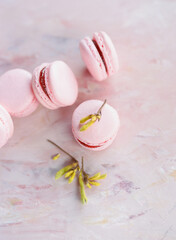 Delicate pink macarons arranged on a pastel surface with a touch of yellow flowers for an elegant dessert display