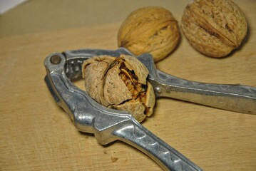 nutcracker and walnuts. walnuts cracked with nutcrackers close-up. selective focus