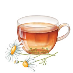 Hand drawn watercolor illustration of cup and flowers chamomile on a white background. Herbal chamomile tea