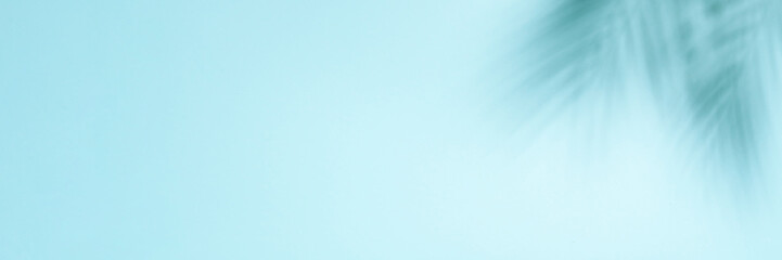 Blue background with palm shadows. Long banner format for web design.