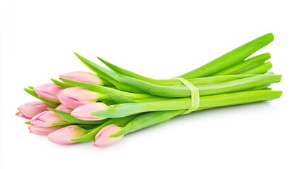 Fototapeta premium Fresh Pink Tulips Bundled with Green Stems on a White Background