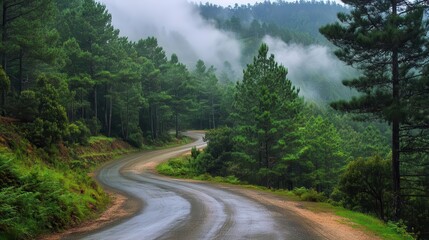 Fototapeta premium misty mountain road winding through towering pine forest, moody atmospheric lighting with ethereal fog rolling across the landscape