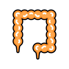 intestines organs illustration