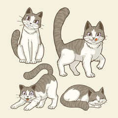 cute cats cartoon character illustration
