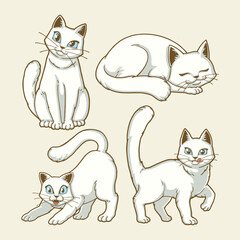 cute white cats cartoon character illustration