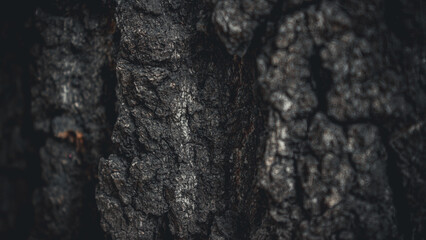 stone wall texture