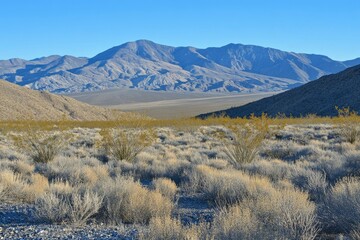 Desert landscape featuring mountainous terrain and arid vegetation