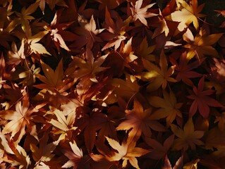 Autumn Maple Leaves Ground Cover: Rich Red and Brown Fall Foliage Texture