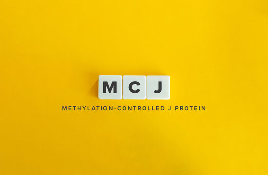 Methylation-controlled J protein (MCJ). Text on Block Letter Tiles on Flat Yellow Background. Minimalist Aesthetics.