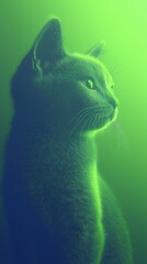 Sleek russian blue kitten portrait pastel teal background digital art soft lighting feline beauty