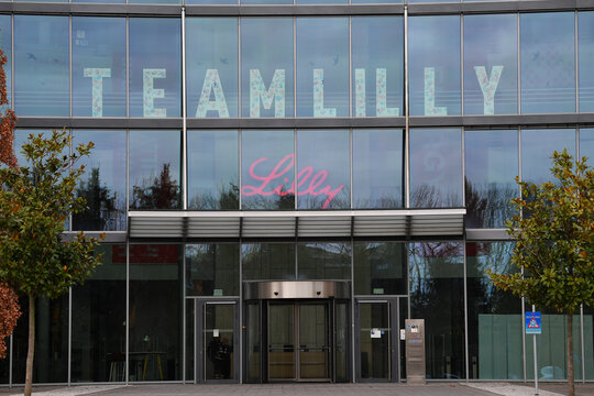 Germany, Bad Homburg, January 28. 2025, sign or lettering of Lilly or Eli Lilly, an international research-based pharmaceutical company with more than 45,000 employees