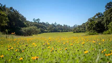 Fototapeta premium Capturing the Serenity of Nature: A Beautiful Landscape with Green Fields and Lush Forests under a Clear Blue Sky