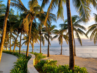 Fototapeta premium Barcelo Maya hotel territory view