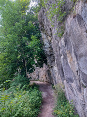 Niagara Glen trail forest view