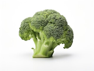 Freshly Harvested Broccoli. Isolated Image of Organic, Vegetarian and Healthy Vegetable in Vivid Green and White. Perfect for Agriculture and Food Themes