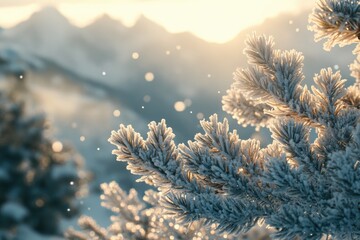 Frost-covered pine branches glisten in the soft light of a winter sunrise, creating a magical scene.