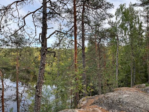 view of a lake from a cliff behind trees