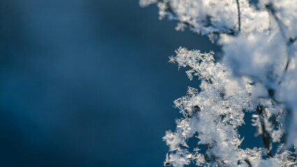 Close up of delicate snowflakes clinging to frozen branches, sparkling in sunlight against a...