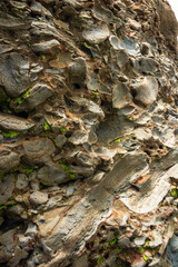 A rock wall with many small rocks and some green moss