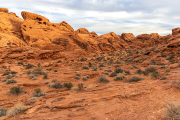 Fototapeta premium Beautiful colors and shapes in the Valley of Fire State Park, Nevada
