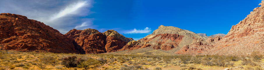 Fototapeta premium Red Rock Canyon National Conservation Area near Las Vegas, Nevada