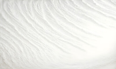 Obraz premium White Simple Realistic Wallpaper Painted Wall Texture for Designs, Wallpaper, Banners