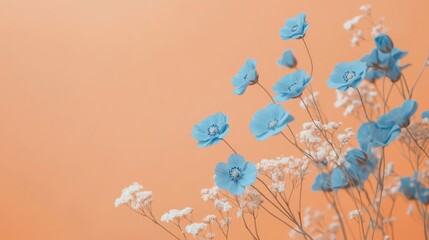 Naklejka premium Delicate blue flowers arranged on a soft peach background, highlighting their simplicity and elegance in a minimalistic botanical composition.