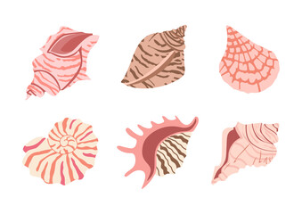 Sea shell vector set. Ocean exotic underwater seashell conch aquatic mollusk, sea spiral snail collection. Tropical beach shells. Modern flat style isolated on white background.