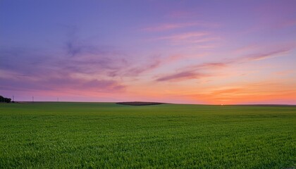 보랏빛 저녁 하늘과 초록 들판