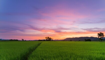 보랏빛 저녁 하늘과 초록 들판