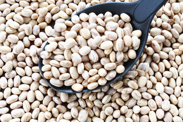 Beans in a spoon on the grains background. Carioca beans.