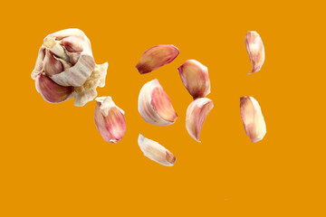 Garlic cloves on the yellow background.