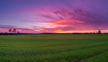 Obraz premium 보랏빛 저녁 하늘과 초록 들판