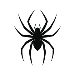 A spider silhouette design on a white background