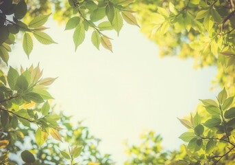 Fototapeta premium Sunny daylight through lush green tree leaves