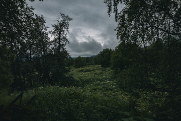 Alaska countryside with mountains and wildlife