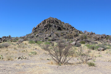 Rocky brown hill at Jeff Davis County in Texas with a scrub tree in front of it