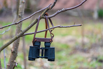 Old vintage binoculars hanging on a tree branch in spring day, travel concept