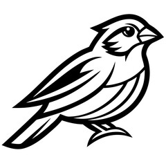 Fototapeta premium Sparrow Vector Illustration - Cartoon, Clipart, and Line Art Design on White Background